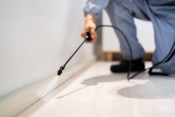 Licensed Pest Control service in Sangamon County County, IL - Nex Pest Control