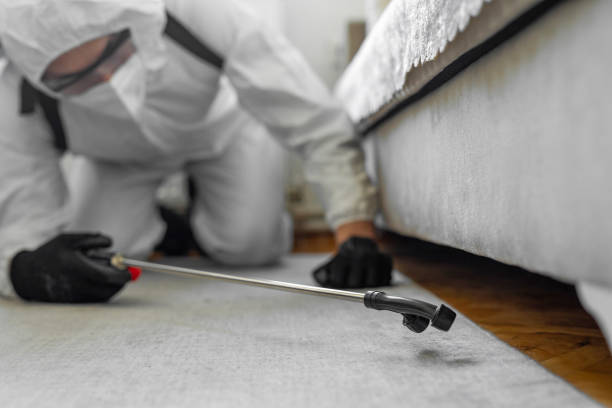 Professional Pest Control technician working in Sangamon County County, IL